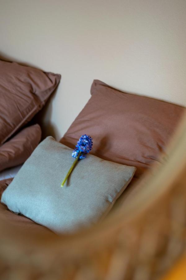 Mosters Bed & Breakfast Guldborg 외부 사진